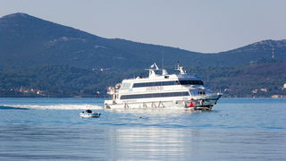 Image 380489 (auto) Image 380489 (auto)