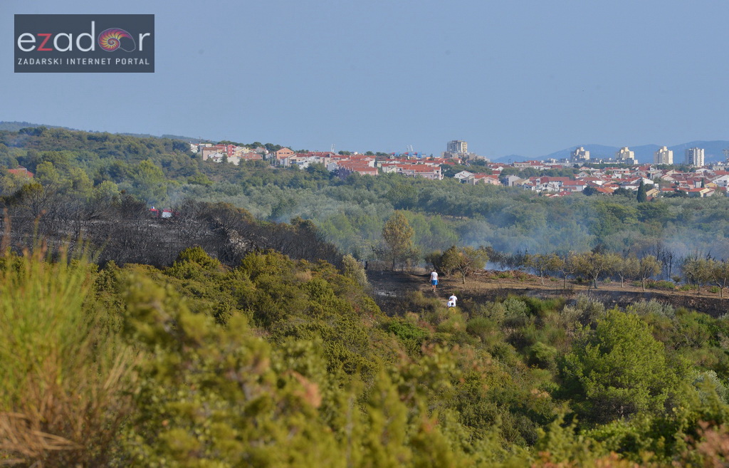 Zračne i kopnene vatrogasne snage u rekordnom roku lokalizirale požar između Dikla i Kožina