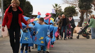 Virski karnevalić 2016. Virski karnevalić 2016.