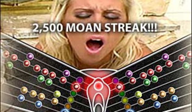 Vagina Hero ( foto: net.hr)