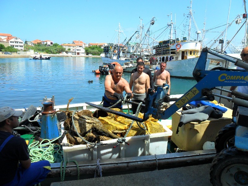 eko kali batalaza eko kali batalaza