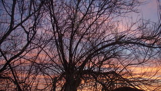 Preko: Svitanje 5. veljače 2013, foto: Jasna Marcelić