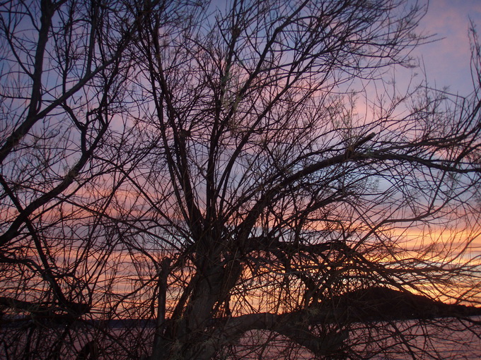 Preko: Svitanje 5. veljače 2013, foto: Jasna Marcelić