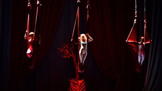 Circo Art u HNK Zadar izveo predstavu “Povratak u prirodu”