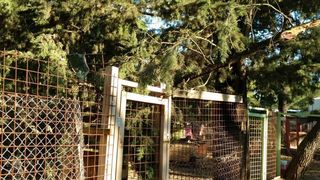 Nevera učinila veliku štetu i zadarskom azilu Nevera učinila veliku štetu i zadarskom azilu