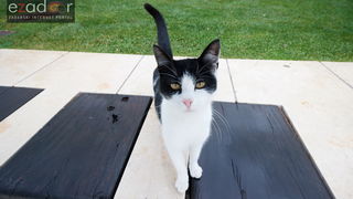 Đir po gradu, srijeda 13. prosinca 2017.