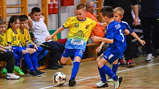 1.Cateleya indoor Cup 1.Cateleya indoor Cup