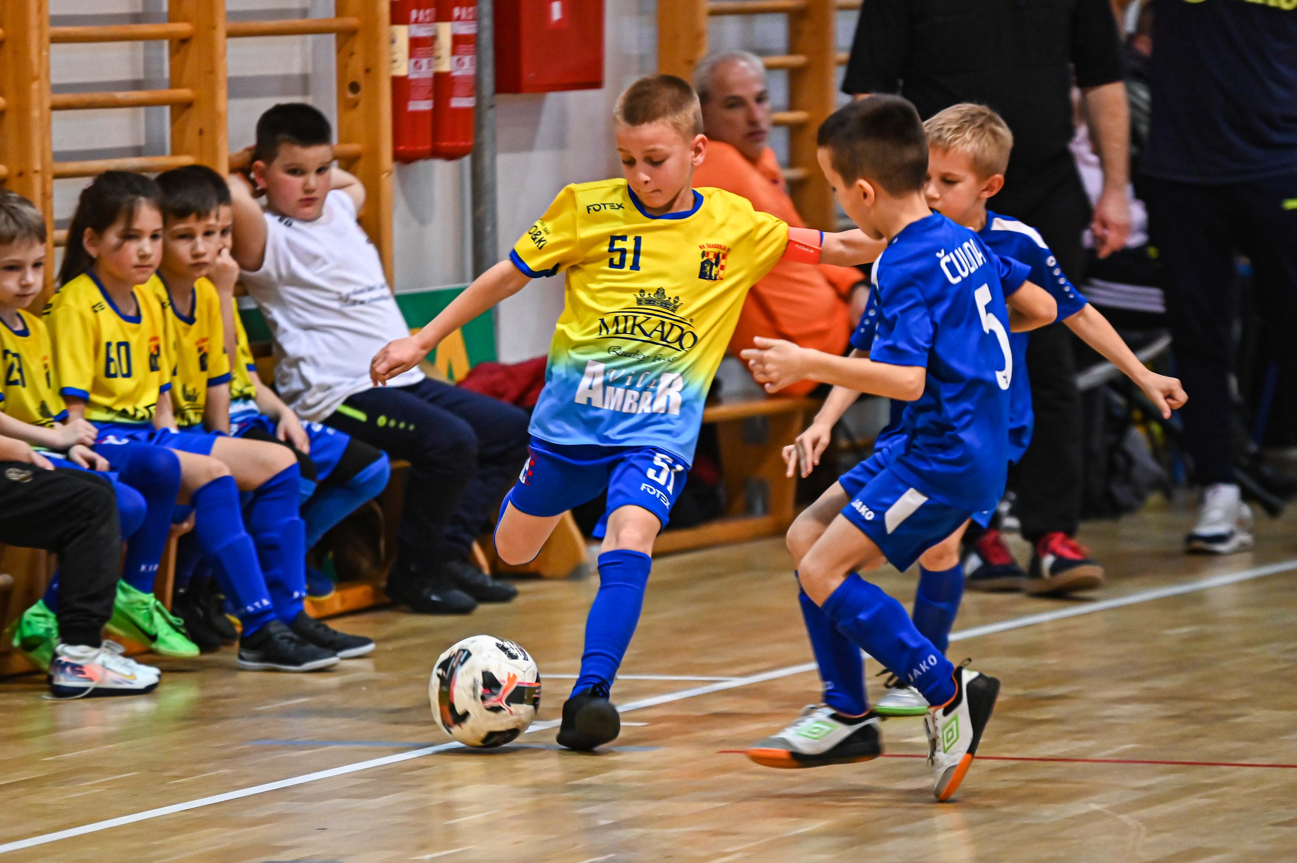 1.Cateleya indoor Cup 1.Cateleya indoor Cup