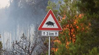 Zbog požara je zatvorena i autocesta