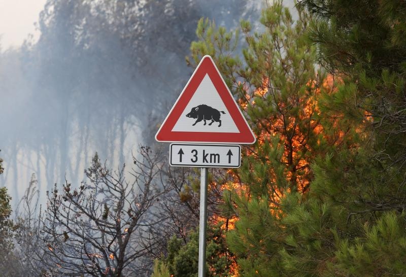 Zbog požara je zatvorena i autocesta