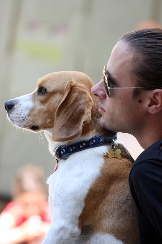 Glazbena jutra u Stomorici 8.8.2009 (foto: Filip Plazonić)