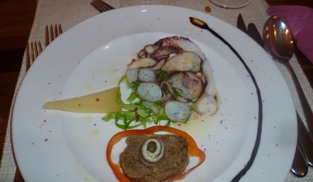 Udruga “Eko-Zadar” dovodi Slow Food u Zadarsku županiju, foto: eko zadar