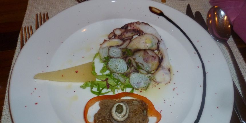 Udruga “Eko-Zadar” dovodi Slow Food u Zadarsku županiju, foto: eko zadar