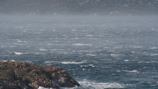Image 1177839 (auto)