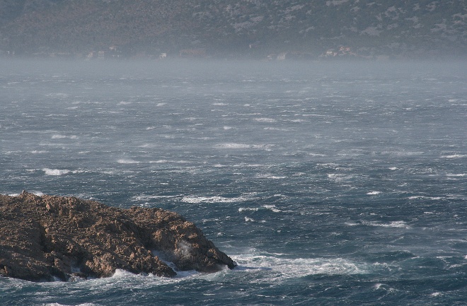 Image 1177839 (auto)