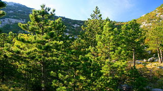 Veliko Rujno Velebit 24.9.2007.