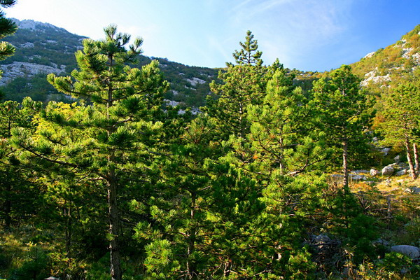 Veliko Rujno Velebit 24.9.2007.
