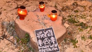 Prosvjed građana zbog odluke Grada da posječe drvored fafarikula u Vruljici Prosvjed građana zbog odluke Grada da posječe drvored fafarikula u Vruljici