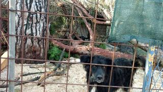 Nevera učinila veliku štetu i zadarskom azilu Nevera učinila veliku štetu i zadarskom azilu