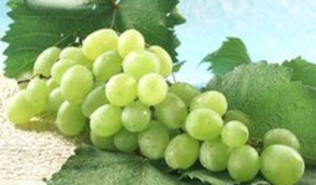 Grožđe (Foto: coolinarika.com)