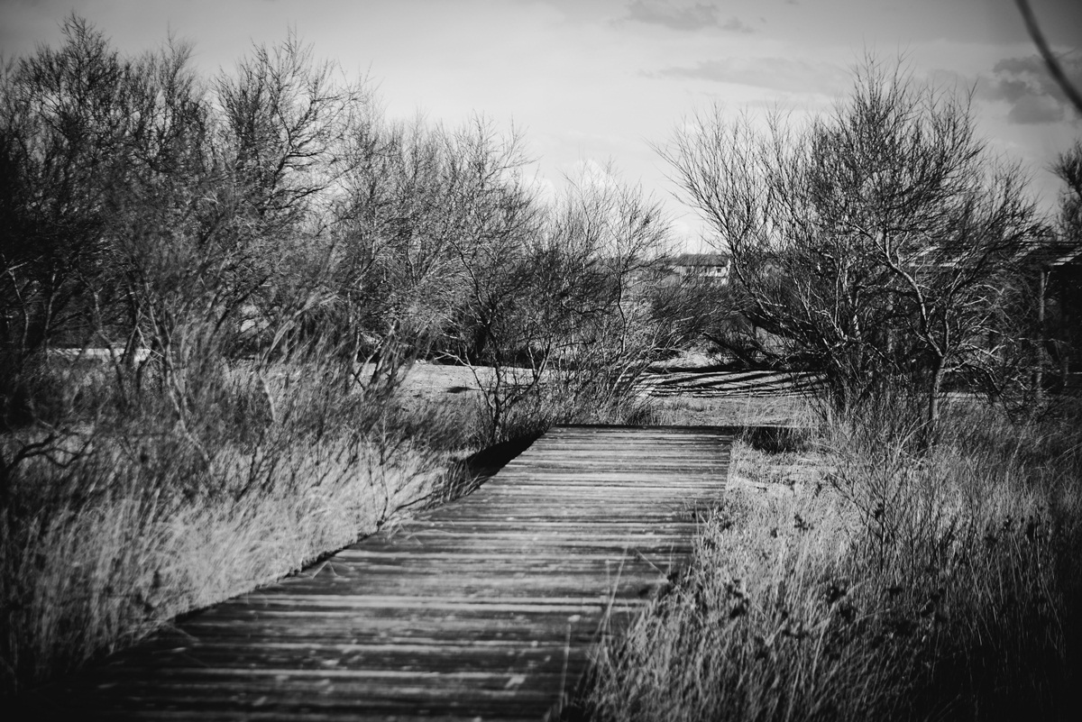 Crno bijela bajka na Kraljičinoj plaži, foto: Iva Perinčić