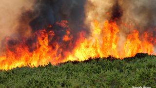 Lokaliziran požar kod Košljuna na otoku Pagu Lokaliziran požar kod Košljuna na otoku Pagu