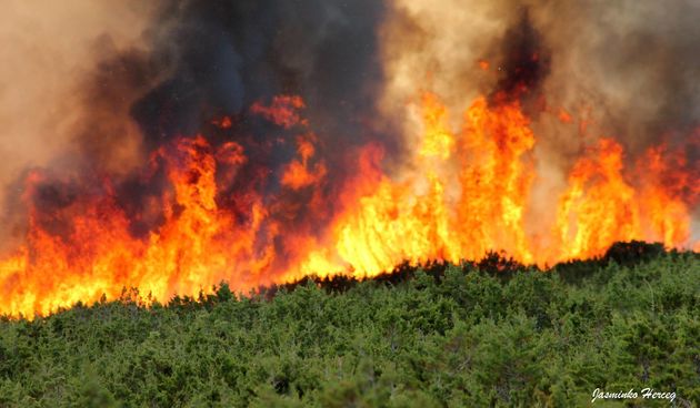 Lokaliziran požar kod Košljuna na otoku Pagu