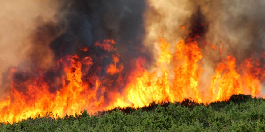 Lokaliziran požar kod Košljuna na otoku Pagu