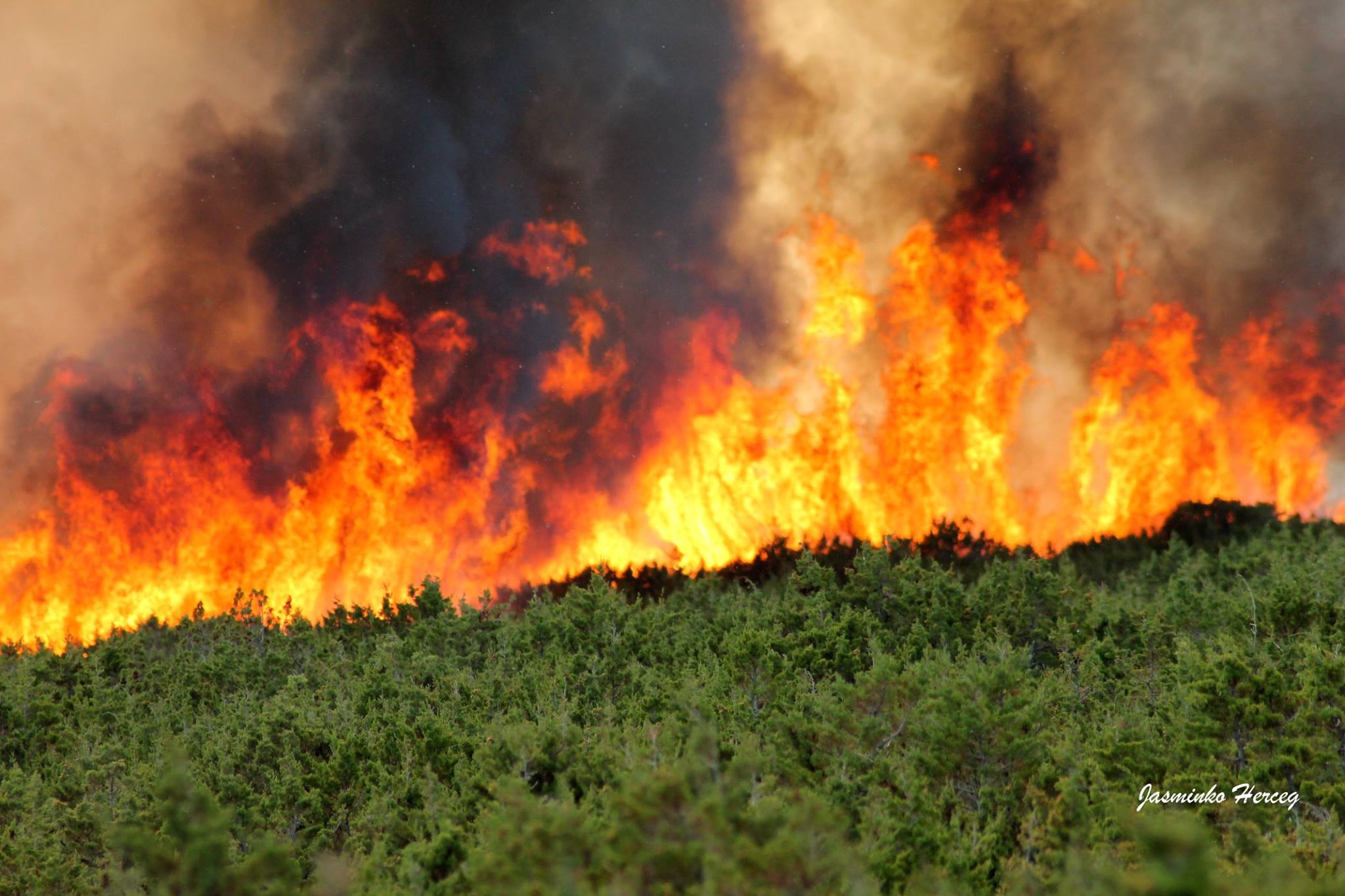 Lokaliziran požar kod Košljuna na otoku Pagu Lokaliziran požar kod Košljuna na otoku Pagu