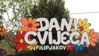 10. Dani cvije