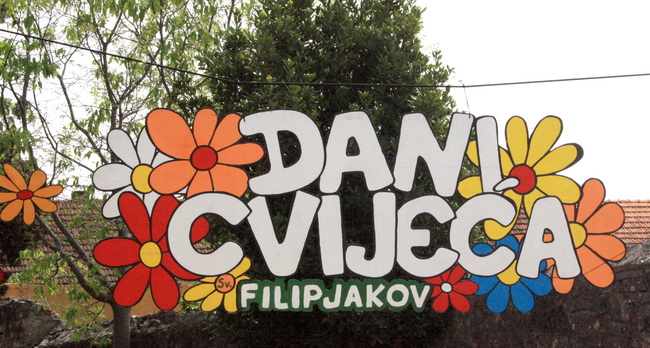 10. Dani cvije