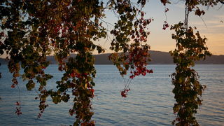 Đir po Karmi 18. listopada 2012. foto: Robert Brkljača Đir po Karmi 18. listopada 2012. foto: Robert Brkljača