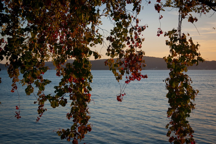 Đir po Karmi 18. listopada 2012. foto: Robert Brkljača Đir po Karmi 18. listopada 2012. foto: Robert Brkljača