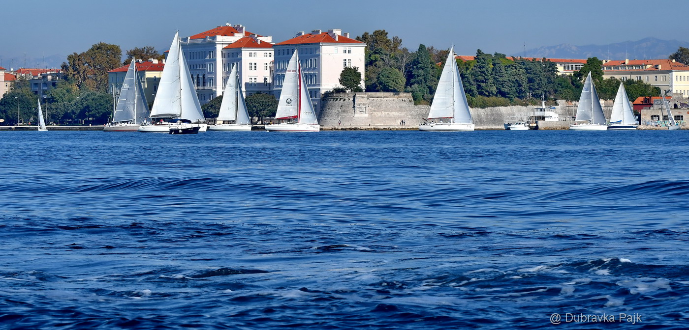 Sva lica “Zadarske koke” Sva lica “Zadarske koke”