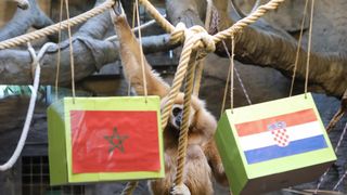 Gibon Kent odabrao pobjednika utakmice Hrvatska – Maroko