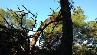 Nevera učinila veliku štetu i zadarskom azilu Nevera učinila veliku štetu i zadarskom azilu