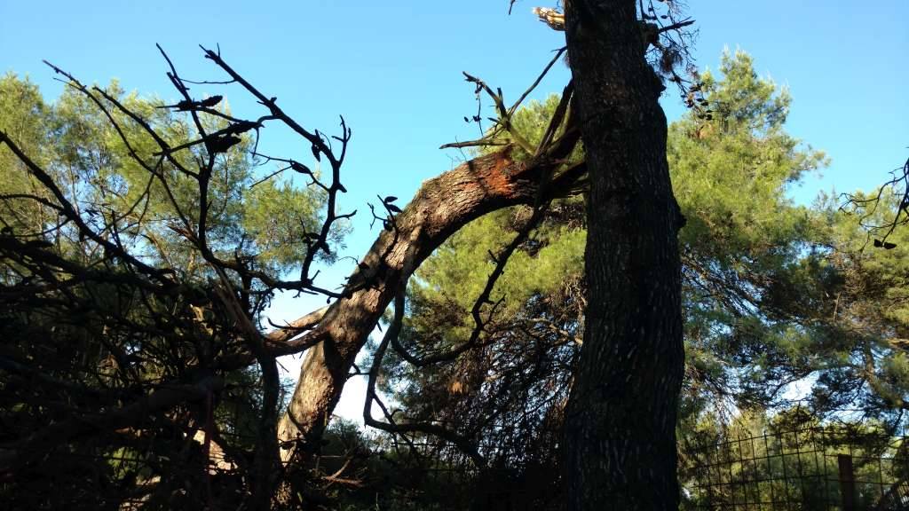 Nevera učinila veliku štetu i zadarskom azilu Nevera učinila veliku štetu i zadarskom azilu