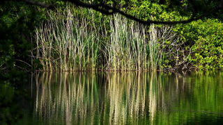 Prvosvibanjski izlet na Skradinski Buk