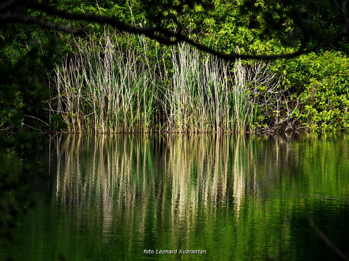 Prvosvibanjski izlet na Skradinski Buk