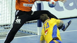 Hrvatska – Svedska 30-26, Foto: CROPIX