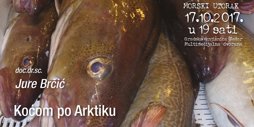 Morski utorak: Koćom po Atlantiku