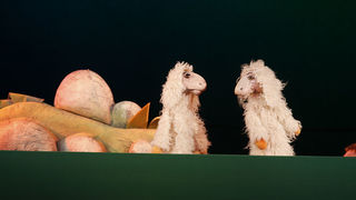 Betlehemska ovčica Betlehemska ovčica