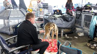 Izložba pasa na Zagrebačkom velesajmu Izložba pasa na Zagrebačkom velesajmu