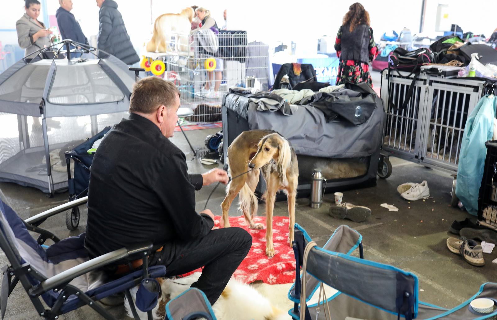 Izložba pasa na Zagrebačkom velesajmu Izložba pasa na Zagrebačkom velesajmu