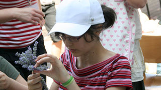 GKZD: Dječja radionica izrade stručaka i jastučića od lavande, Foto: Lucija Juravić