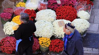 Započela prodaja cvijeća na zadarskoj tržnici, foto-I. Perinčić Započela prodaja cvijeća na zadarskoj tržnici, foto-I. Perinčić