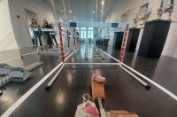 Zadarska atletika, plivanje, vaterpolo i skokovi u vodu iznjedrili su niz istaknutih sportašica i sportaša