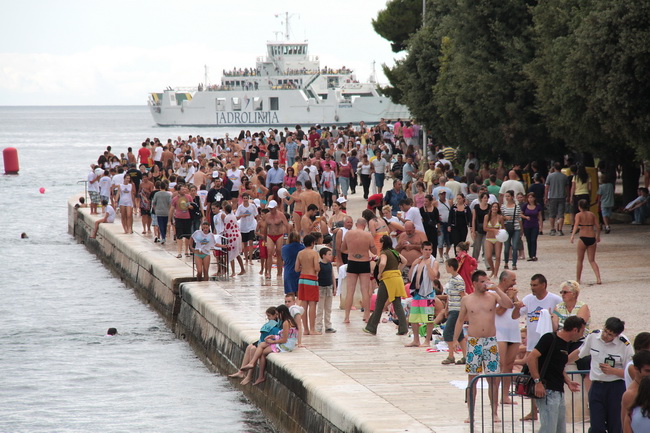 Dm Millenium 2010. foto: Angelo Virag Dm Millenium 2010. foto: Angelo Virag