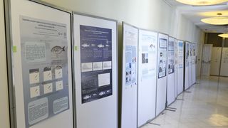 Znanstveni skup Adriatic Mariculture Zadar @ Providurova palača Znanstveni skup Adriatic Mariculture Zadar @ Providurova palača