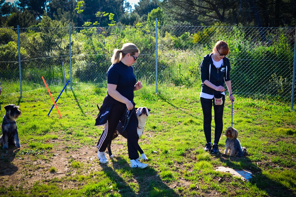 Kinološka udruga Malinois